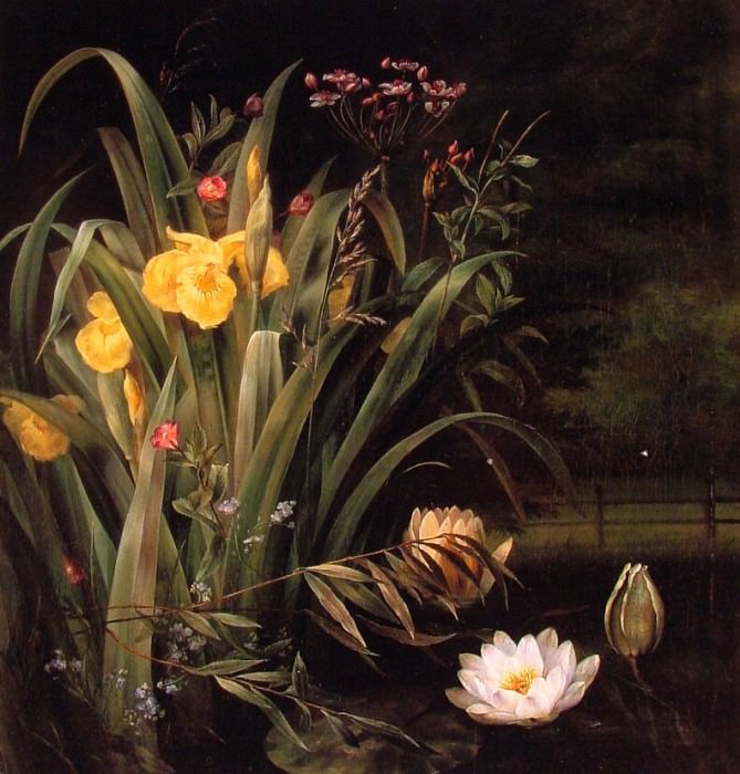 A Lily Pond. Hermania Sigvardine Neergard
