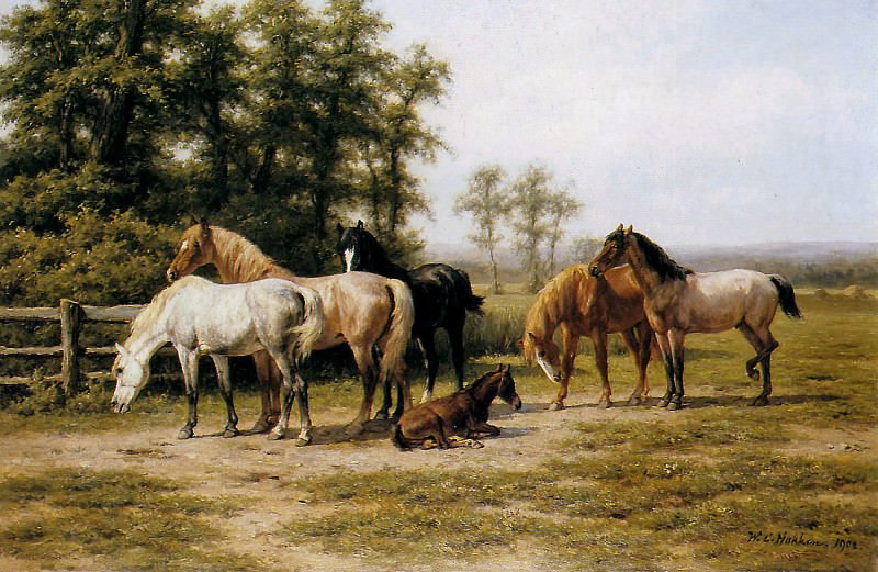 Horses. Willem Karel Nakken