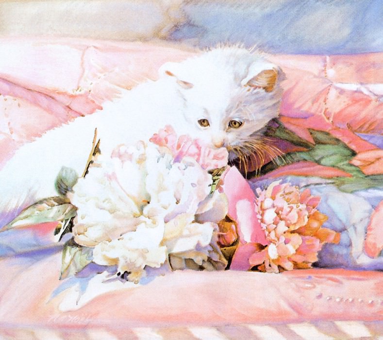 Kitten. Nancy Noel