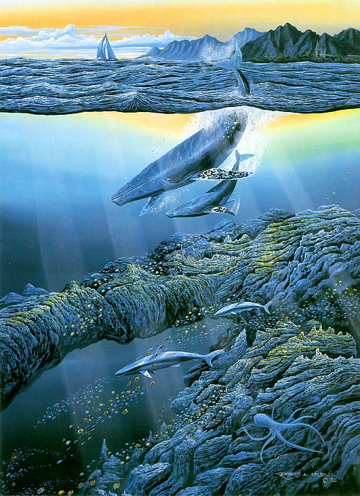 Aquatic Splendor. Robert Lyn Nelson