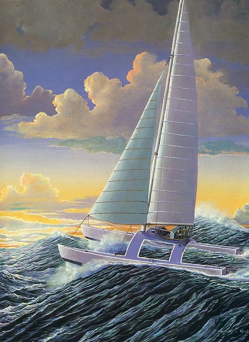 Seaflight. Robert Lyn Nelson