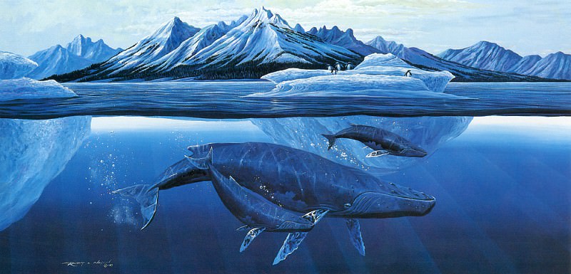 Антарктические горбатые киты. Роберт Лин Нельсон