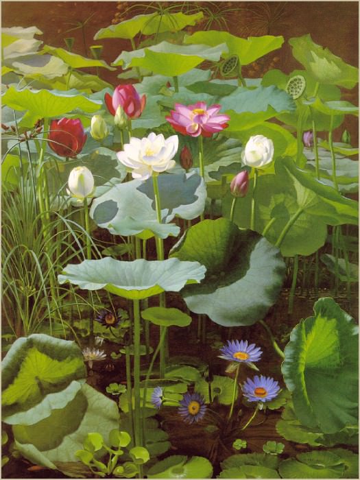 Lily Pond. Otto Didrik Ottesen