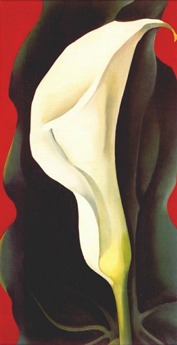 single lily with red 1928. Georgia OKeeeffe