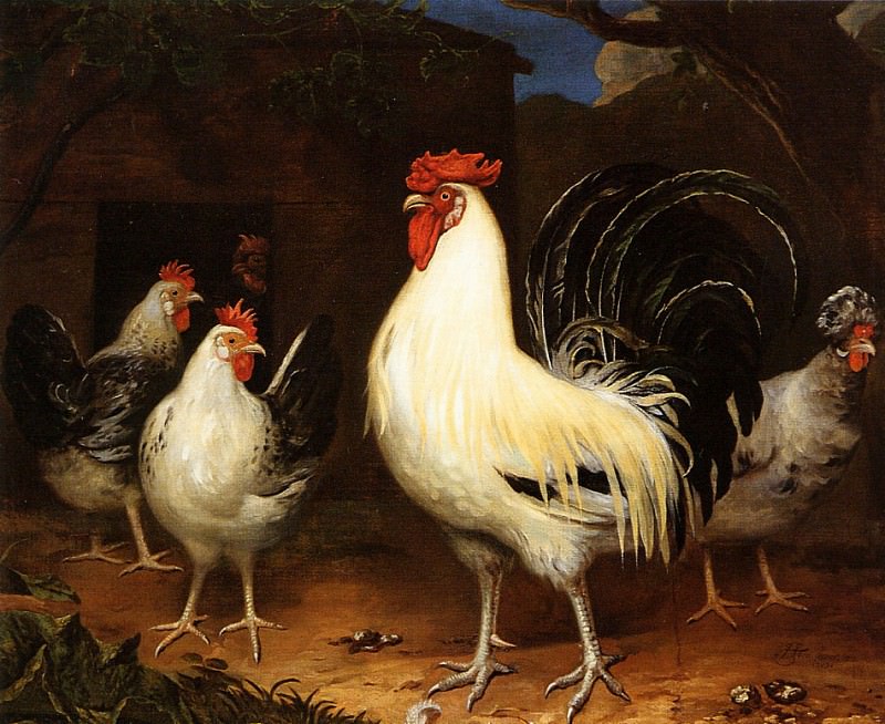 Rooster with chickens. Hendrick Ten Oever