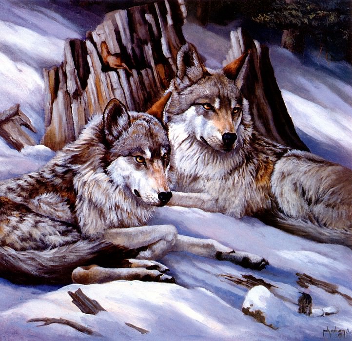 Волки зимой. Джуди Озберн