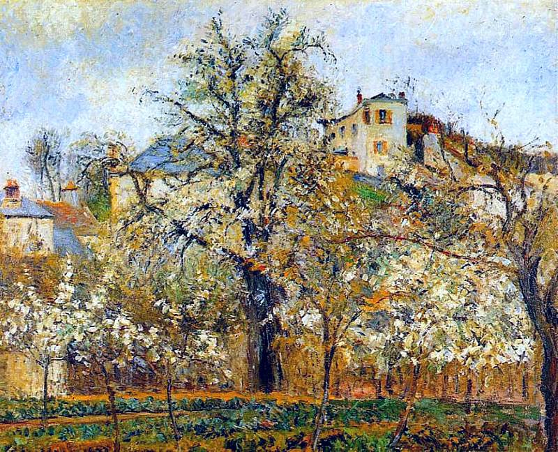 Огород с деревьями в цвету, весна, Понтуаз (1877). Камиль Писсарро
