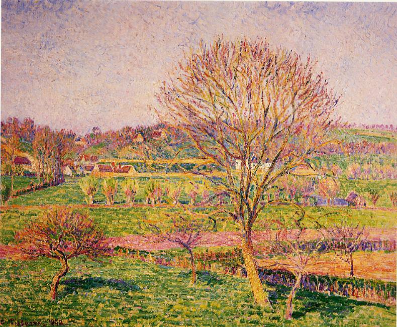Big Walnut Tree at Eragny. (1892). Camille Pissarro