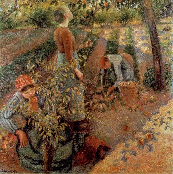 Сбор урожая яблок (1886). Камиль Писсарро