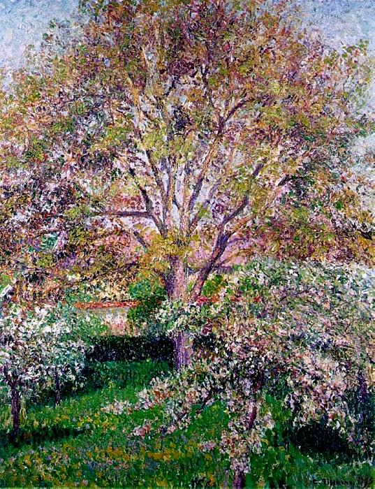 Wallnut and Apple Trees in Boom at Eragny. (1895). Camille Pissarro