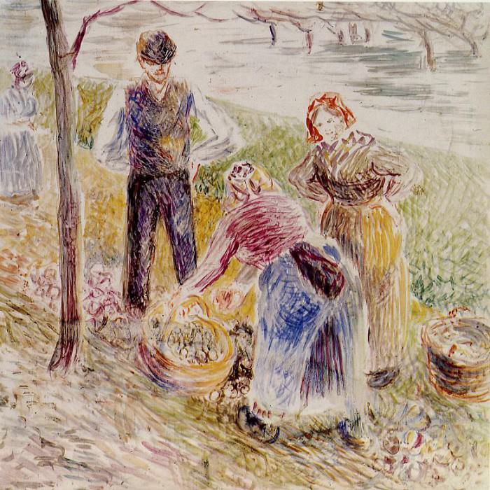 Harvesting Potatos. (1884-85). Camille Pissarro