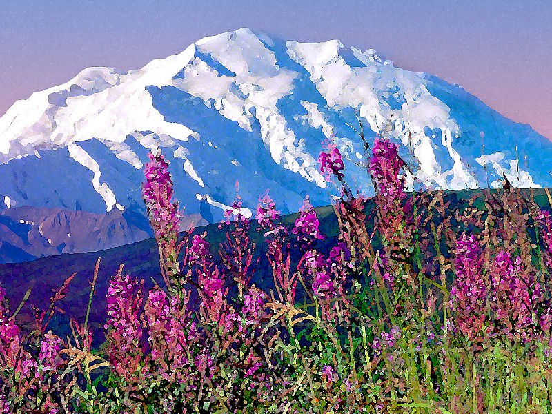 Гора Мак-Кинли, Национальный парк -Денали-, Аляска. Денали Национальный Парк