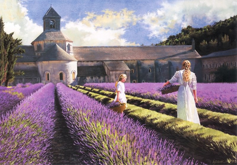 Lavender. Heide Presse