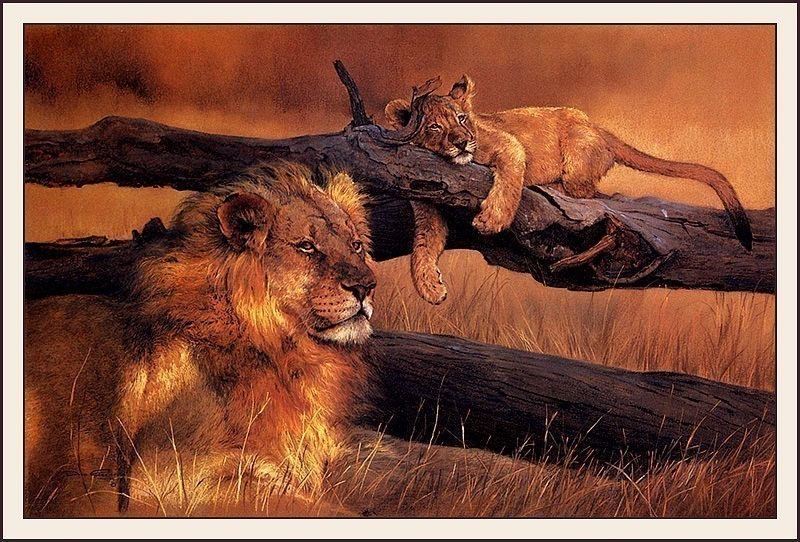 Waiting Game- Lion And Cub. Dino Paravano