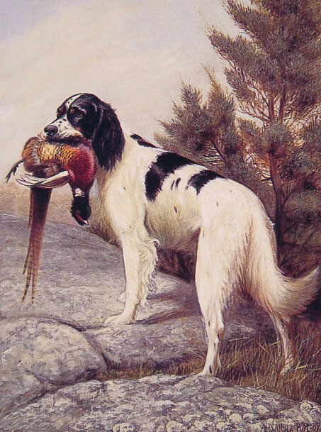 Охотничья собака с фазаном в зубах. Александр Поуп