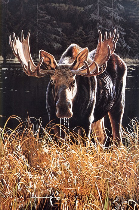 Moose. Ron Parker
