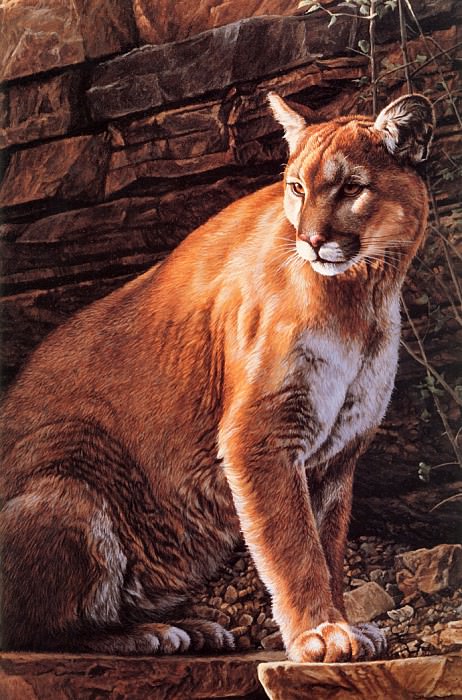 Cougar. Ron Parker