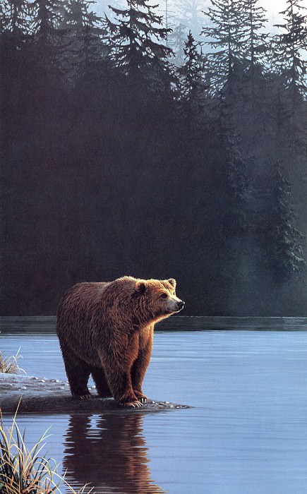 Grizzly Bear. Ron Parker