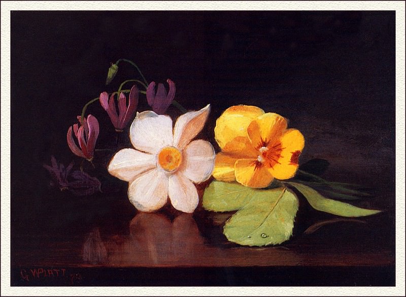 Still Life- A Handful Of Flowers. George W Platt