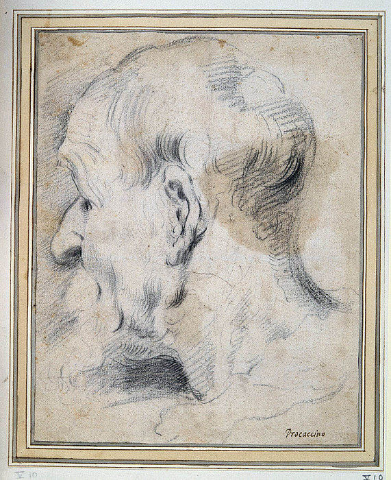 Head of an Old Man in Profile. Camillo Procaccini