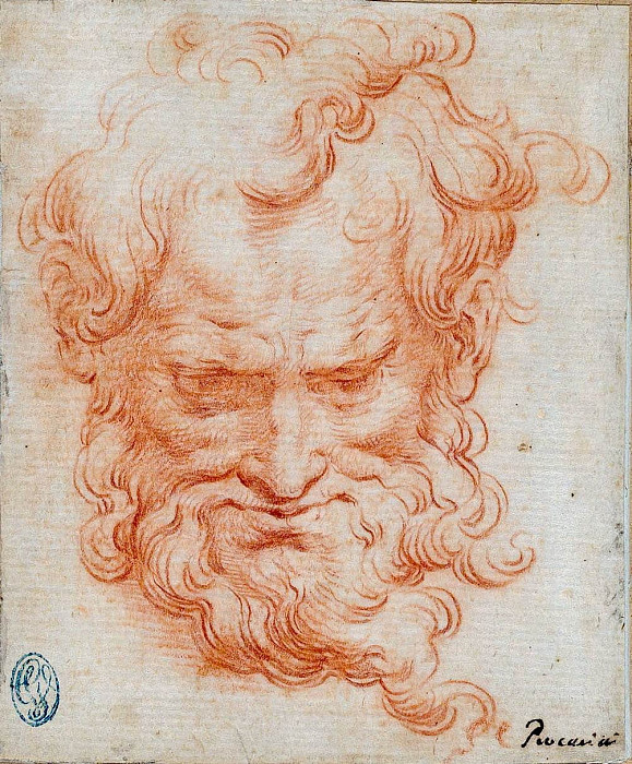 Study of Bearded Man. Camillo Procaccini