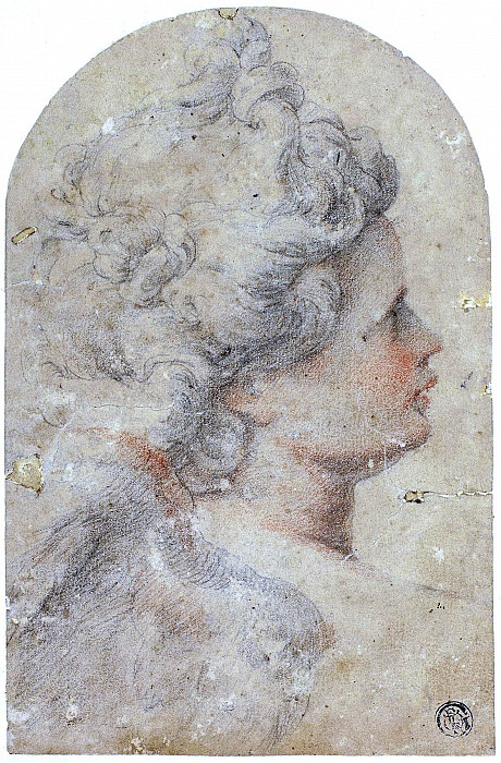 Woman’s Profile to Right. Camillo Procaccini