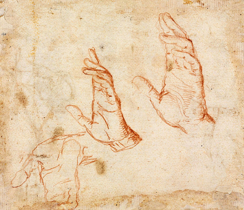 Study of Hands (verso). Camillo Procaccini