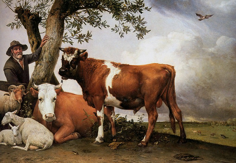 The young bull. Paulus Potter