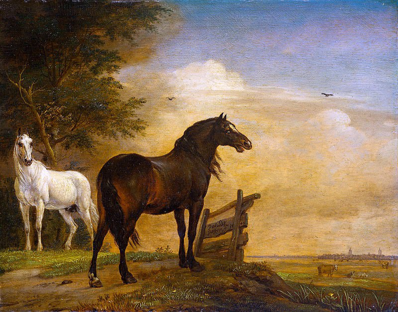 Two horses. Paulus Potter