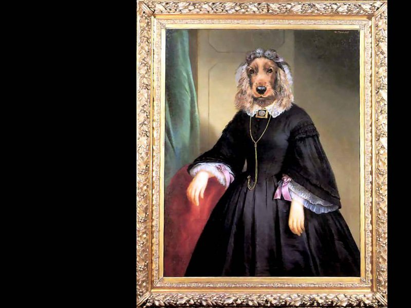 dog portraits charlotte mumbleford. Thierry Poncelet
