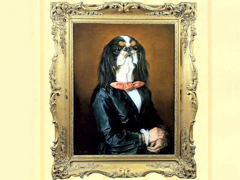 dog portraits miss eulalie featherbridge. Thierry Poncelet