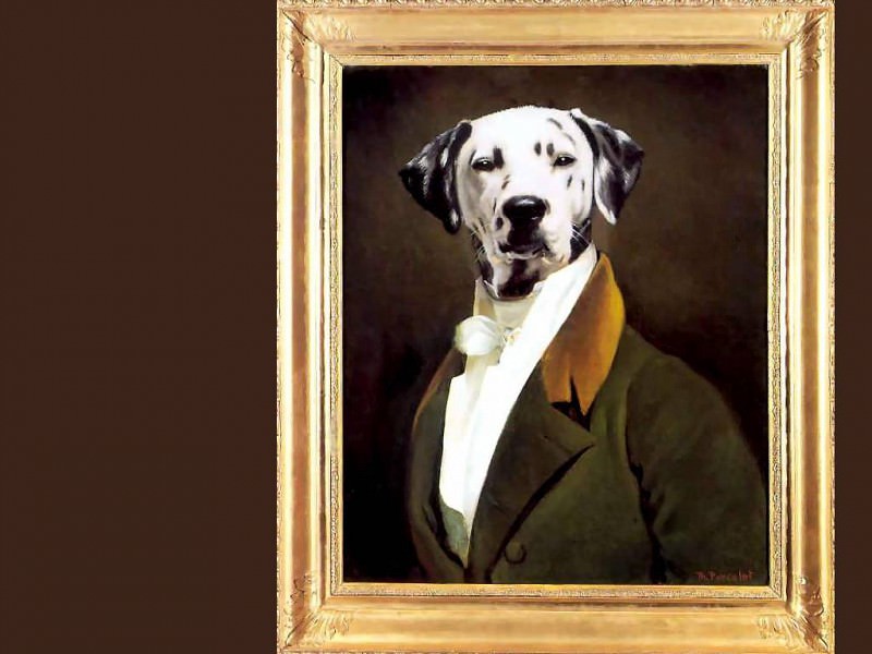 dog portraits horace smickley jr. Thierry Poncelet