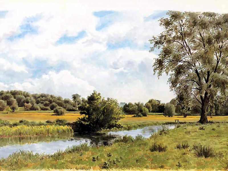 waters edge csg006 buttercup meadows beside the river nadde. Benjamin Perkins