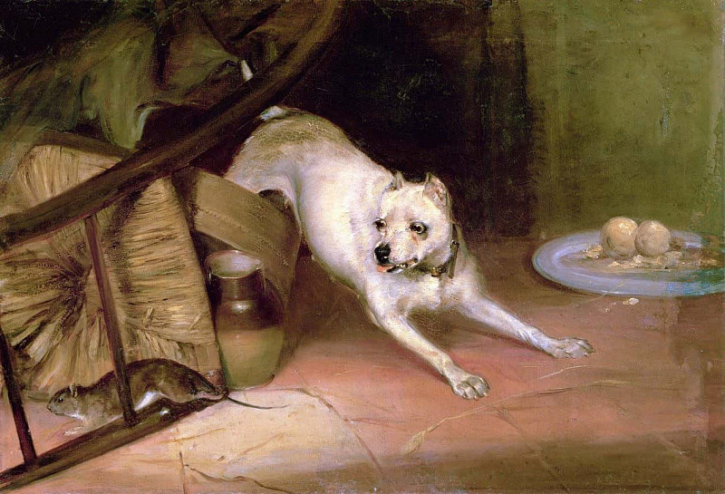 Dog Chasing a Rat. Briton Riviere