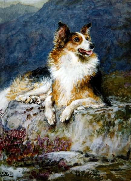 Collie in a Landscape. Briton Riviere