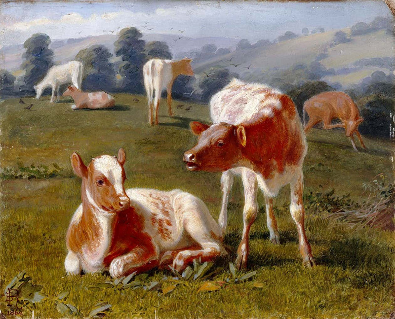 Calves in a Meadow. Briton Riviere