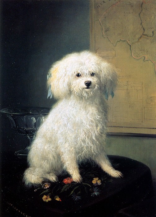 A dog. Henriette Ronner-Knip