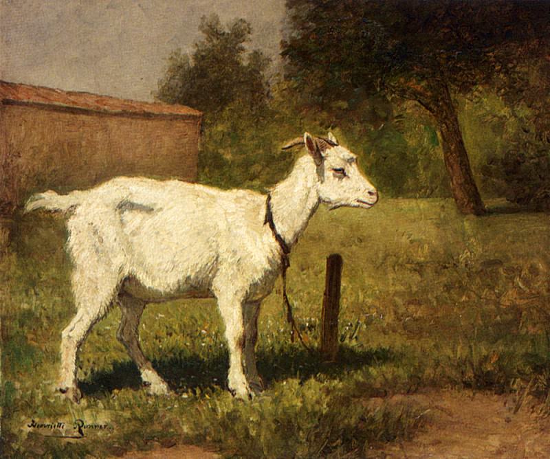A Goat In A Meadow. Henriette Ronner-Knip