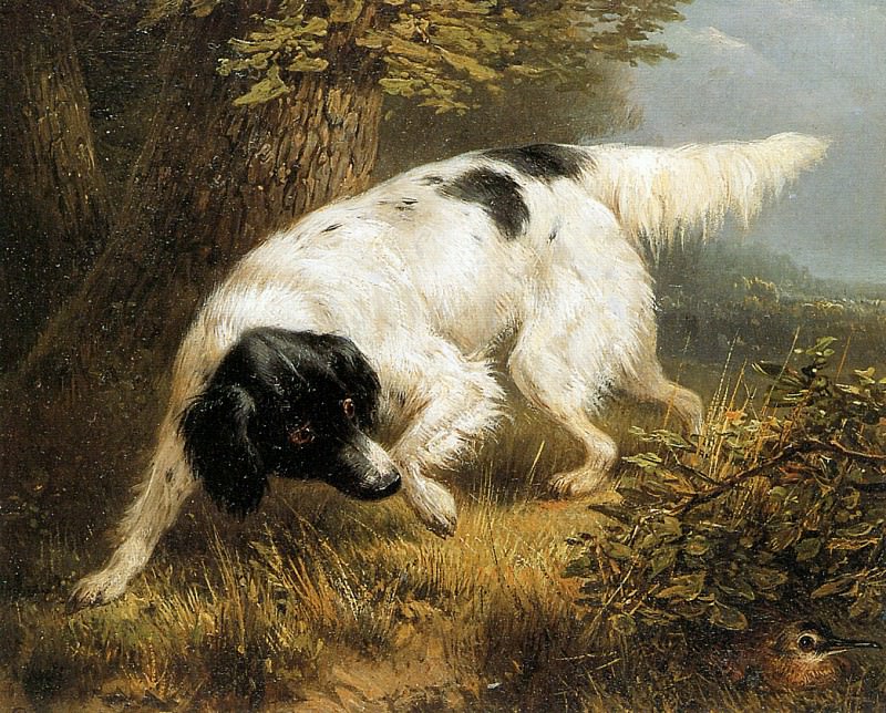 Stabyhoun Finds A Woodcock. Henriette Ronner-Knip