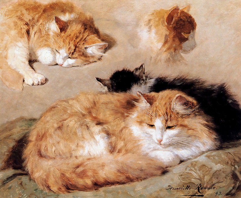 Study into a red tabby. Henriette Ronner-Knip