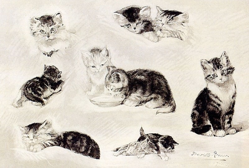 Эскиз: пьющие, спящие и играющие котята. Генриетта Роннер-Книп