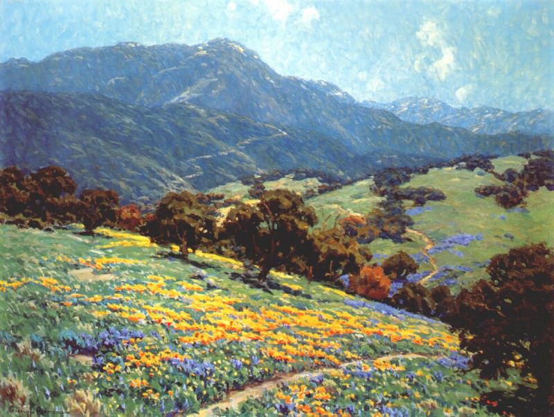 Калифорния, маковое поле, ок.1920-25. Гренвилль Редмонд