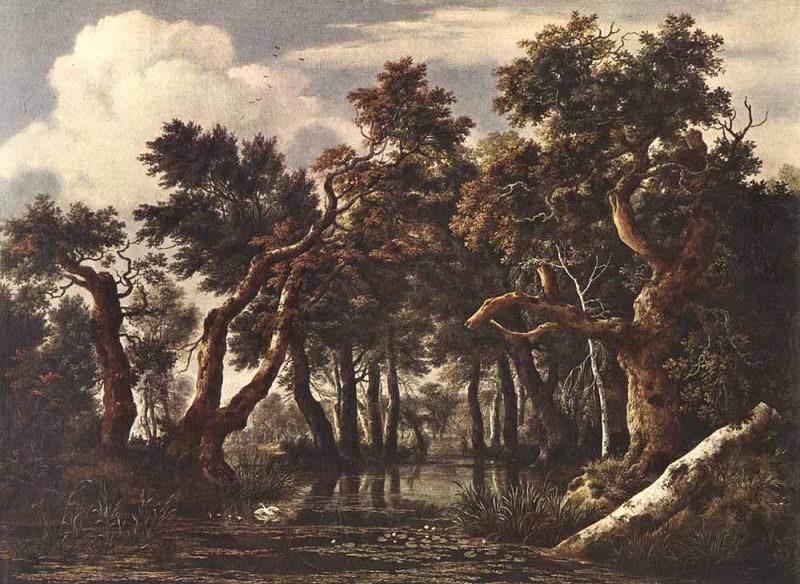 RUISDAEL Jacob Isaackszon van The Marsh In A Forest. Jacob Van Ruisdael