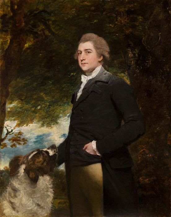Portrait of Sir John Honywood. Joshua Reynolds