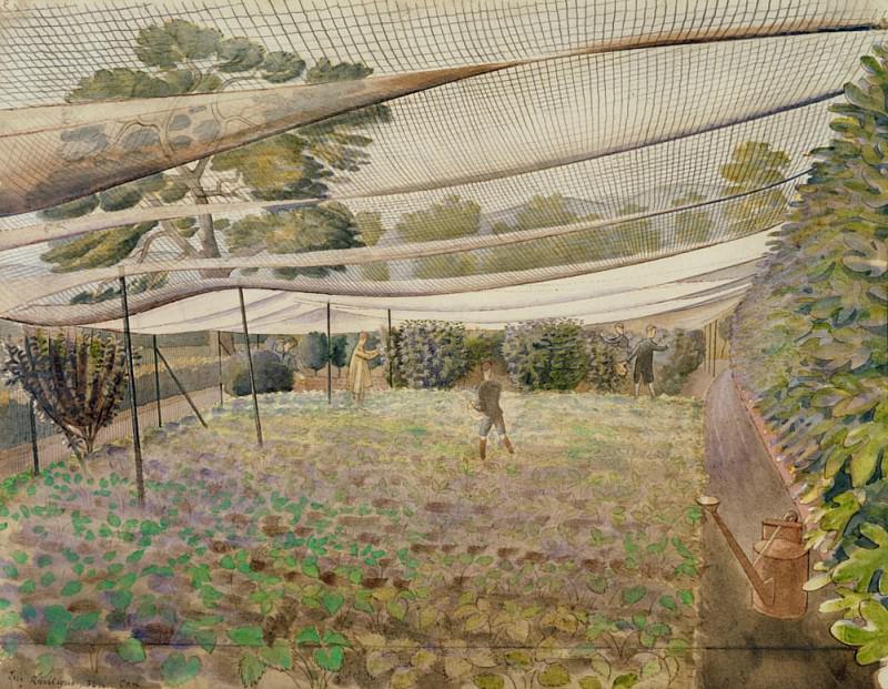 Strawberry nets. Eric Ravilious