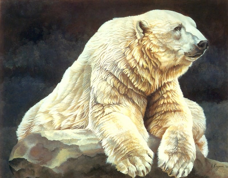 s4-vanishingspecies028-polarbear. L Риган