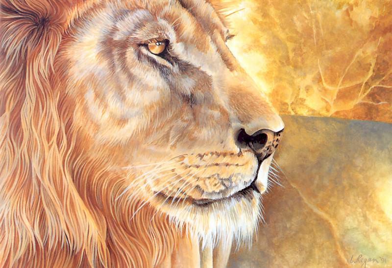 s4-vanishingspecies029-lion. L Риган