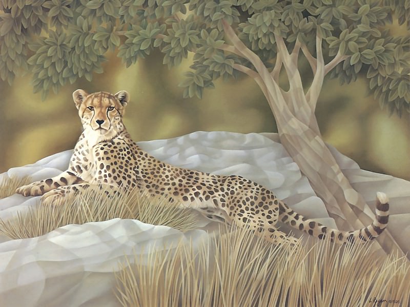 s4-vanishingspecies002-cheetah. L Regan