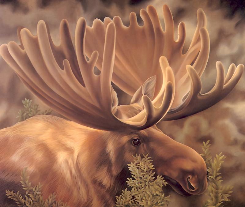 s4-vanishingspecies022-moose. L Риган