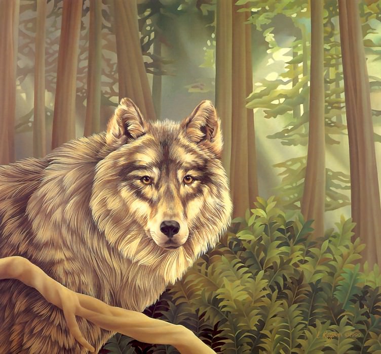 s4-vanishingspecies027-graywolf. L Риган